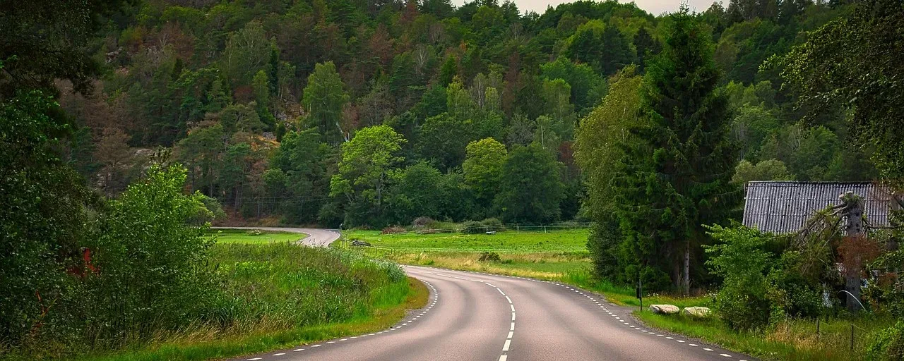 Slingrande landsväg med vita vägmarkeringar genom grön skog